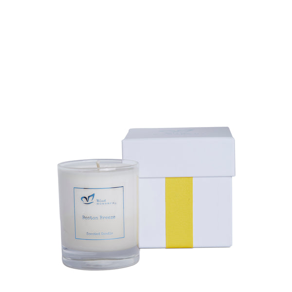 Boston Breeze Candle, BlueMonarch Boston Breeze Candle