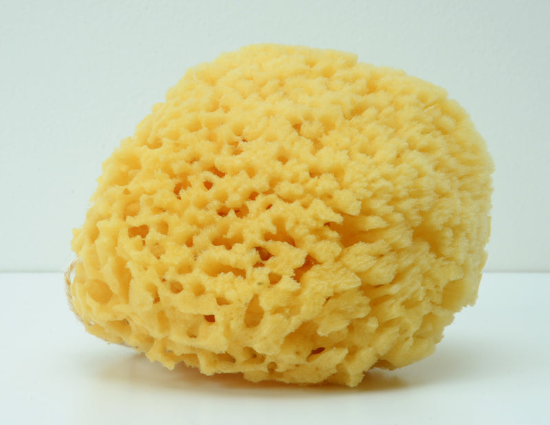 Purifying Facial Cleanser & Silk Sea Sponge