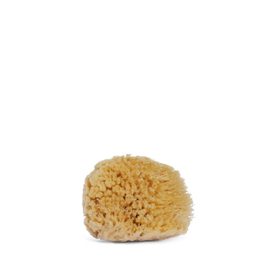 Wool Sea Sponge, BlueMonarch Wool Sea Sponge